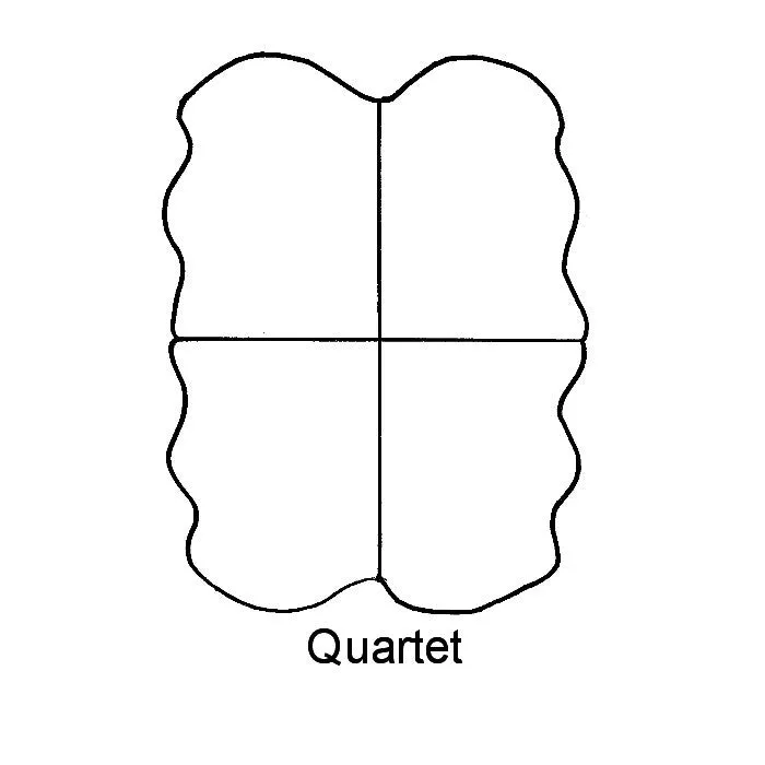 Premium Medical Shearling - Quartet