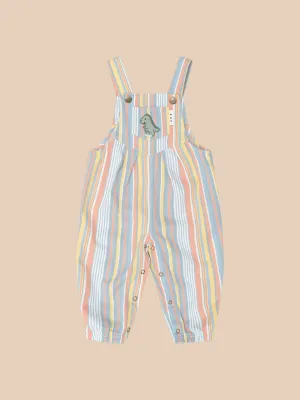 Vintage Stripe Overall - Multi